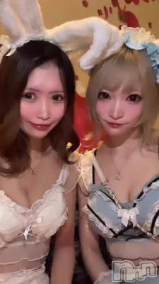 🐰🐱