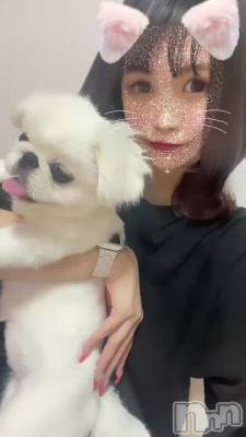 Ȥ錄🐶