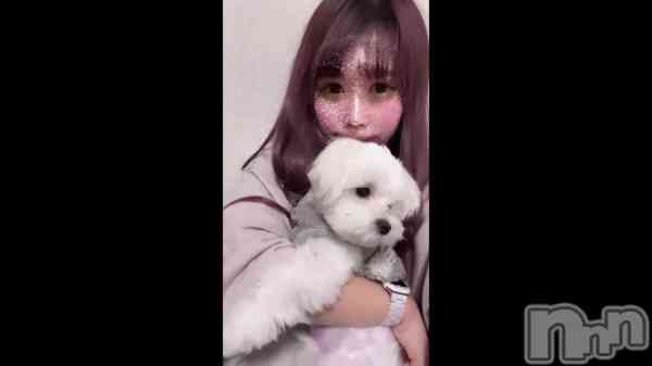 &#x1F436;