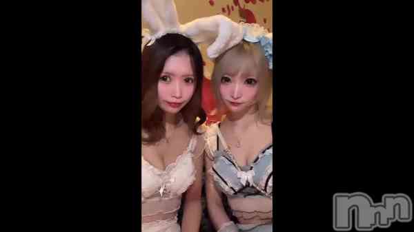 ʡ&#x1F430;&#x1F431;