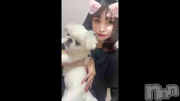 ְȤ錄&#x1F436;