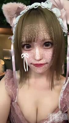 1🐱
