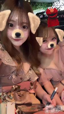 䥤Ǥ🙃