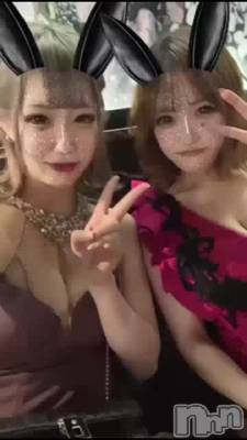 🐰🐰🐰