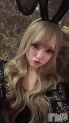 🐰