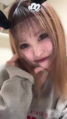 ޤƤǤȤޤ🐰