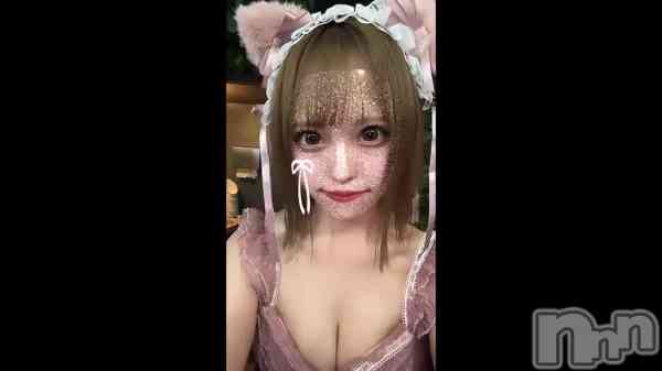 1&#x1F431;