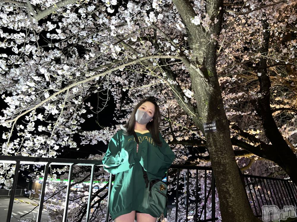 ��ë����Х��顦�����CLUB��Paladin(����֡��ѥ�ǥ���) ̴��椺�Ϥ�4��12���̥�֥�����🌸��