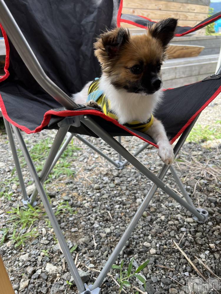 ��ë����Х��顦�����CLUB��Paladin(����֡��ѥ�ǥ���) ̴��椺�Ϥ�8��16���̥�֥�����🐶🐾��