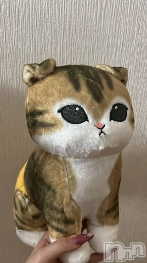 ��ë����Х��顦�����CLUB��Paladin(����֡��ѥ�ǥ���) ̴��椺�Ϥ�8��25���̥�֥�����🐱🍤��