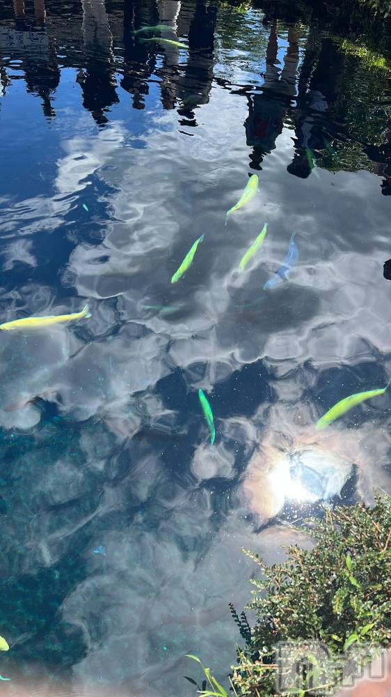 ��ë����Х��顦�����CLUB��Paladin(����֡��ѥ�ǥ���) ̴��椺�Ϥ�9��26���̥�֥����֡뎥🐠��