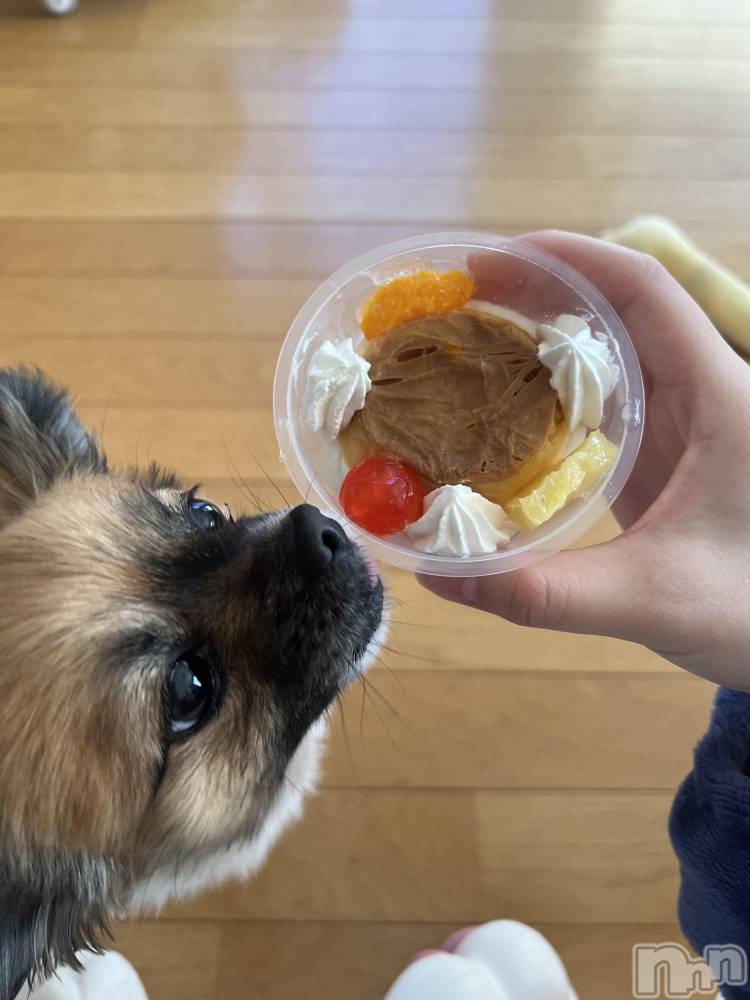 ��ë����Х��顦�����CLUB��Paladin(����֡��ѥ�ǥ���) ̴��椺�Ϥ�3��30���̥�֥�����🍮��