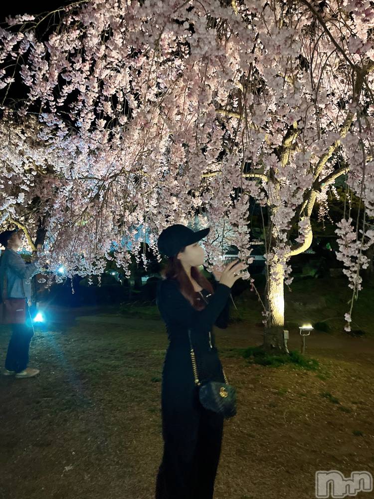 ��ë����Х��顦�����CLUB��Paladin(����֡��ѥ�ǥ���) ̴��椺�Ϥ�4��28���̥�֥�����🌸��