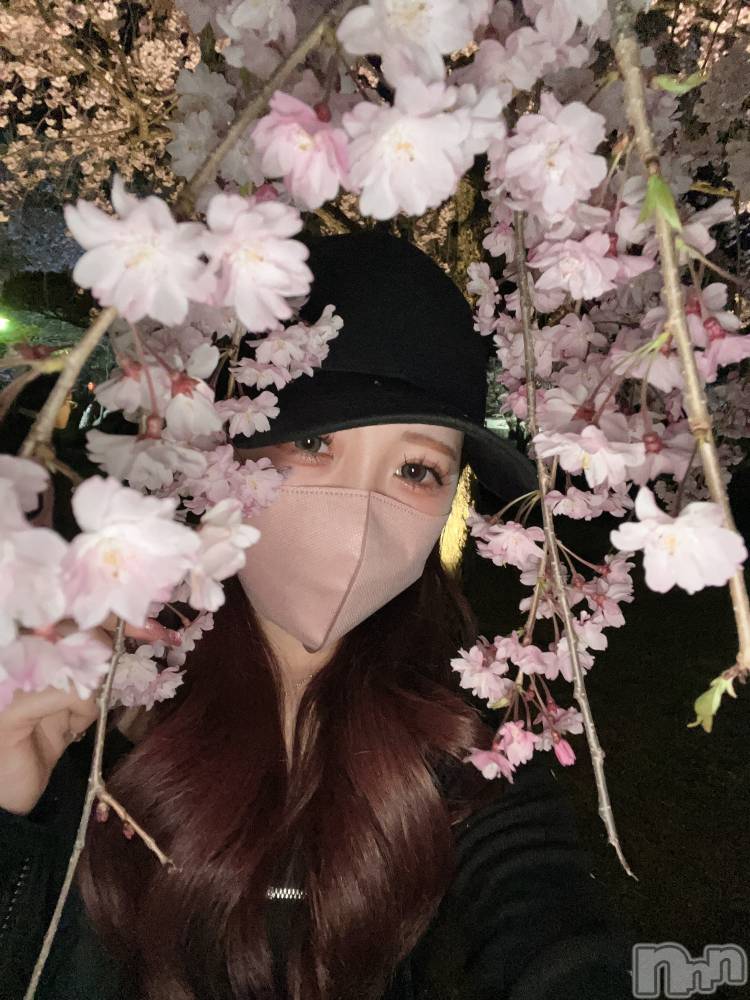 ��ë����Х��顦�����CLUB��Paladin(����֡��ѥ�ǥ���) ̴��椺�Ϥ�5��5���̥�֥��������ڤʤ��Τ餻����