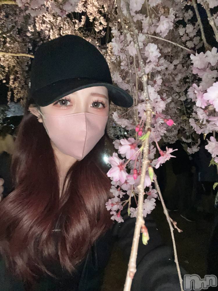 ��ë����Х��顦�����CLUB��Paladin(����֡��ѥ�ǥ���) ̴��椺�Ϥ�4��29���̥�֥����ֺ�ǯ�ώ���🌸��