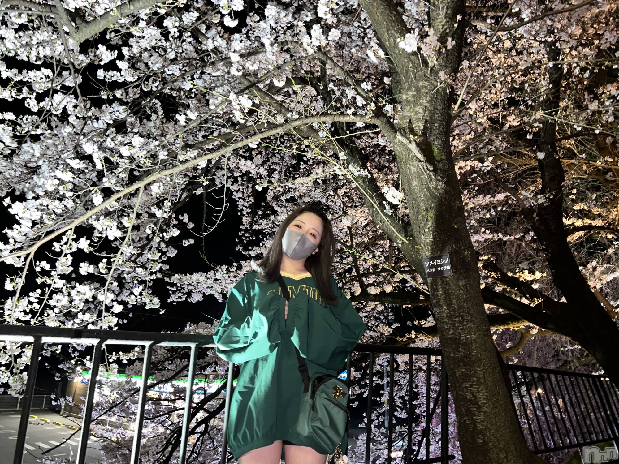 ��ë����Х��顦�����CLUB��Paladin(����֡��ѥ�ǥ���) ��2022ǯ4��12���̥�֥�����🌸��