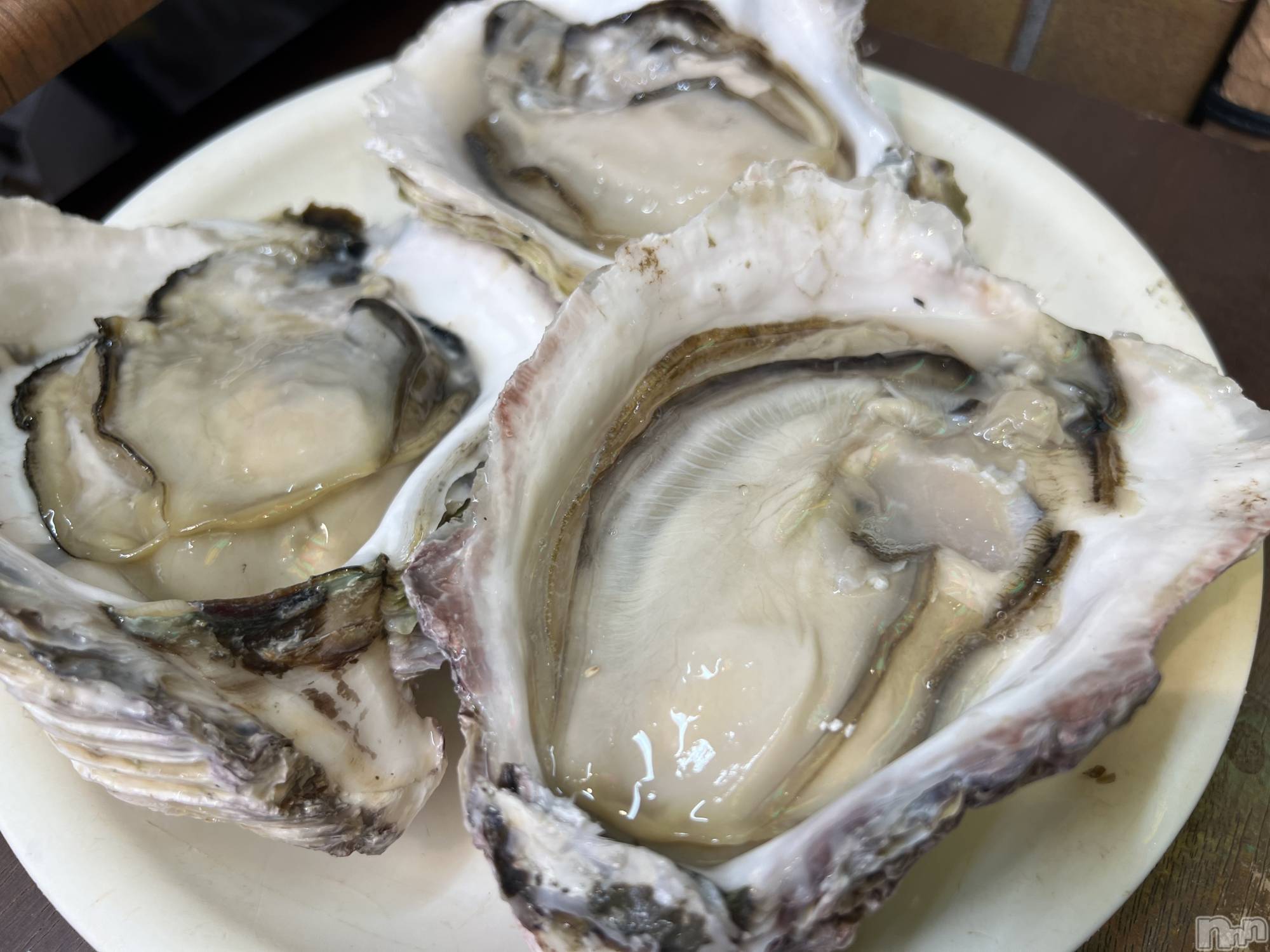 ��ë����Х��顦�����CLUB��Paladin(����֡��ѥ�ǥ���) ��2022ǯ6��29���̥�֥�����🦪��