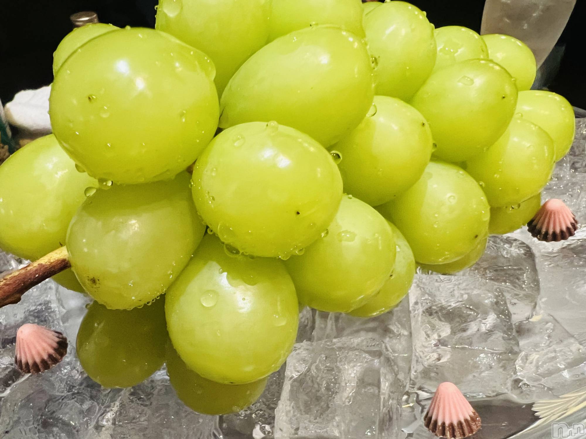 ��ë����Х��顦�����CLUB��Paladin(����֡��ѥ�ǥ���) ��2022ǯ11��22���̥�֥�����🍇��