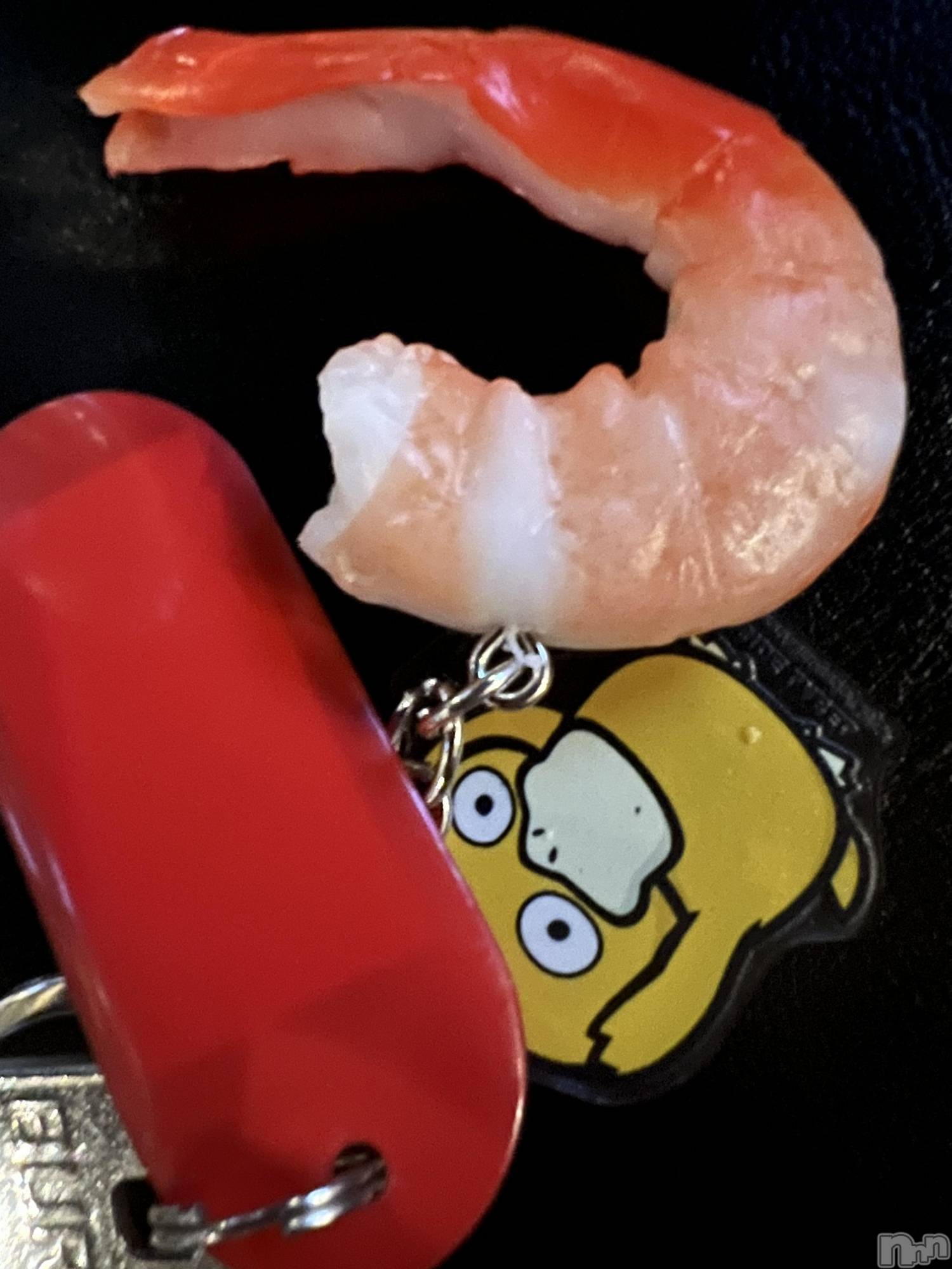 ��ë����Х��顦�����CLUB��Paladin(����֡��ѥ�ǥ���) ��2022ǯ11��26���̥�֥�����🦐��