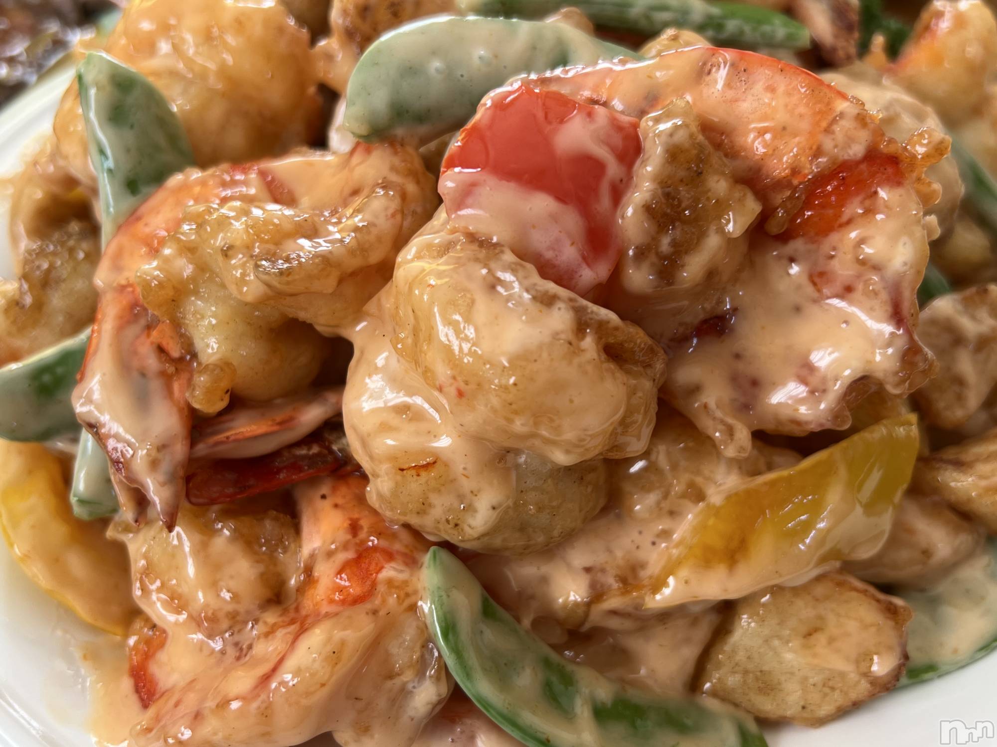 ��ë����Х��顦�����CLUB��Paladin(����֡��ѥ�ǥ���) ��2023ǯ1��4���̥�֥�����🦐��