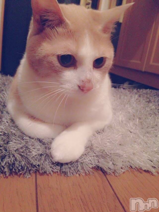 ��ë����Х��顦�����CLUB��Paladin(����֡��ѥ�ǥ���) ��2023ǯ2��22���̥�֥�����🐈⸒⸒⸒⸒��