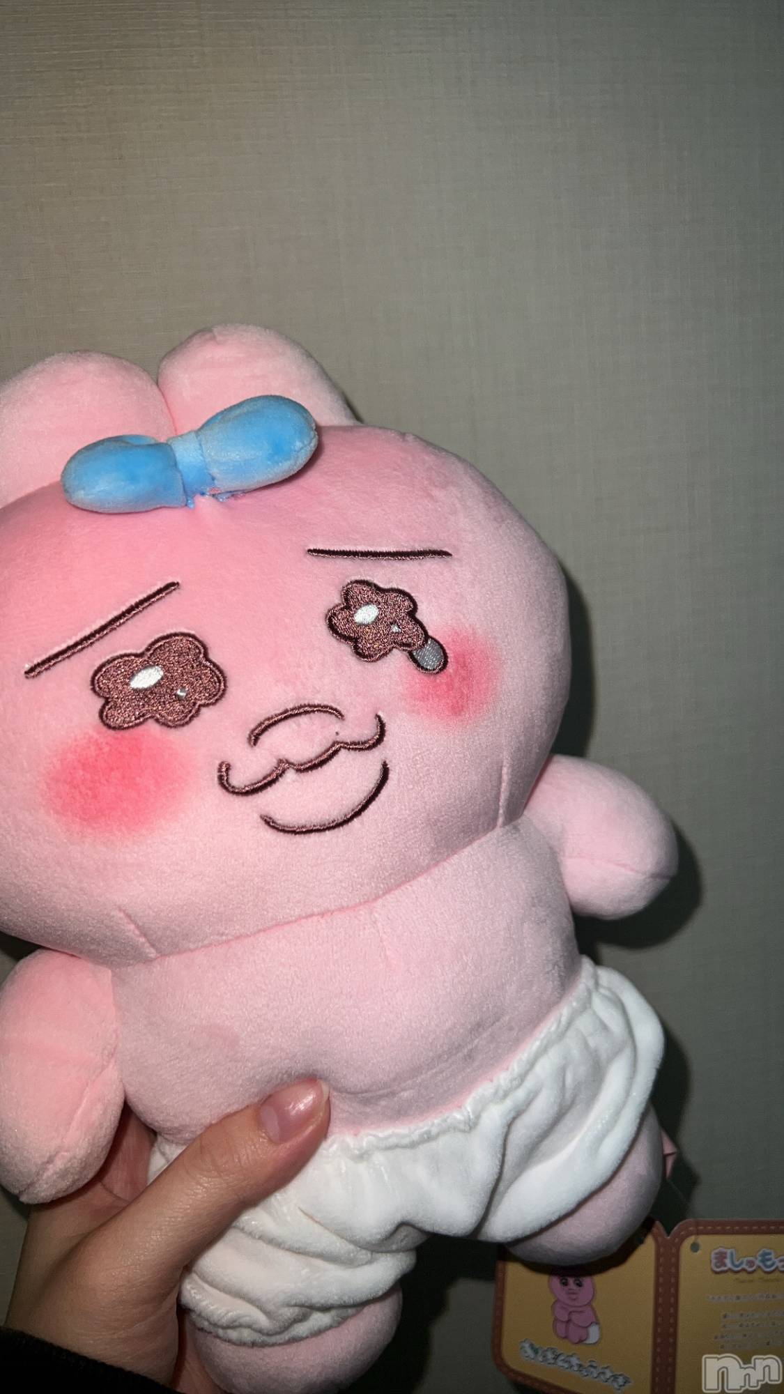 ��ë����Х��顦�����CLUB��Paladin(����֡��ѥ�ǥ���) ��2023ǯ5��15���̥�֥�����🐰🎀‎��