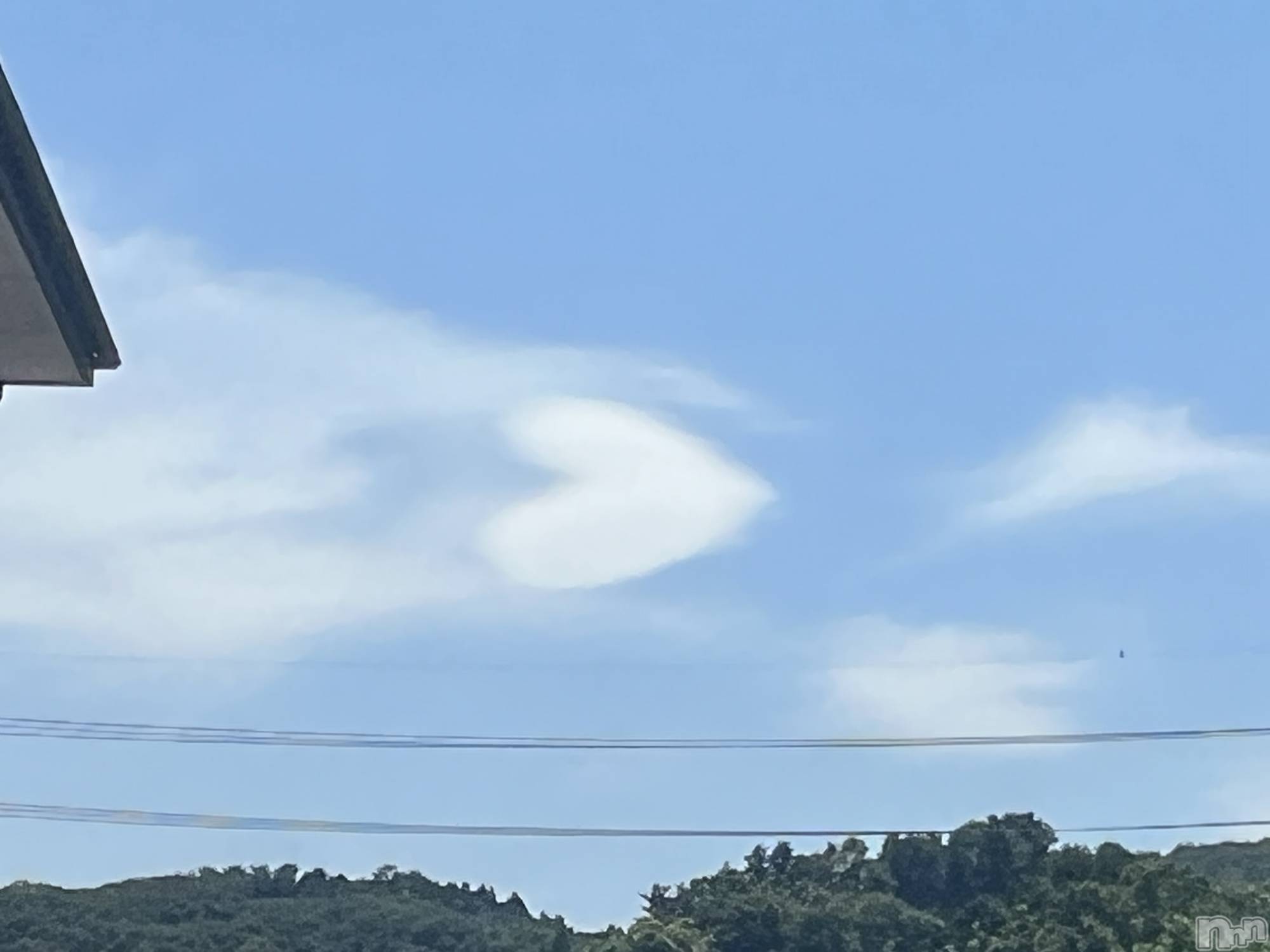 ��ë����Х��顦�����CLUB��Paladin(����֡��ѥ�ǥ���) ��2023ǯ7��7���̥�֥�����🤍❕��