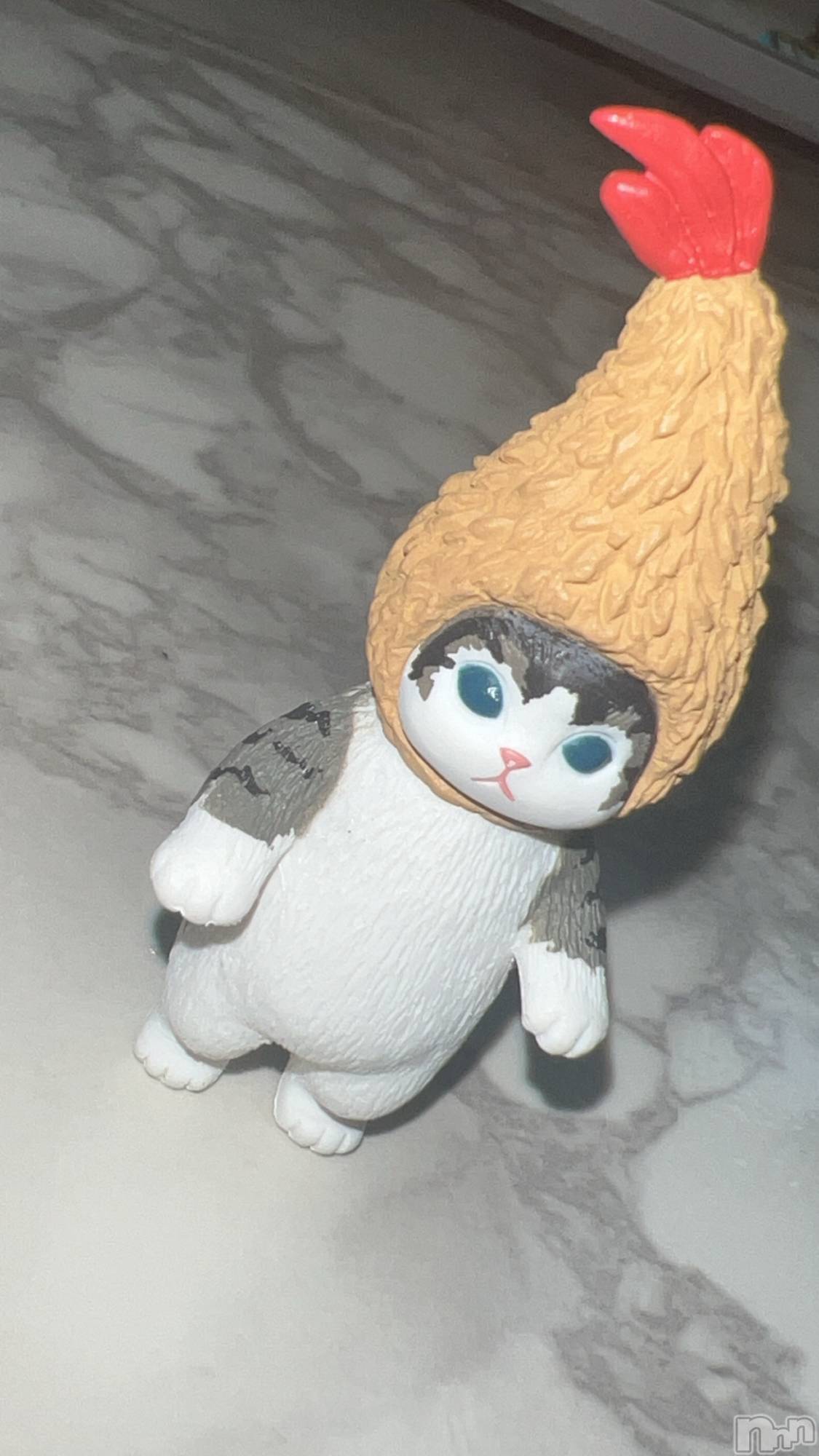 ��ë����Х��顦�����CLUB��Paladin(����֡��ѥ�ǥ���) ��2023ǯ8��11���̥�֥�����🐱🍤��