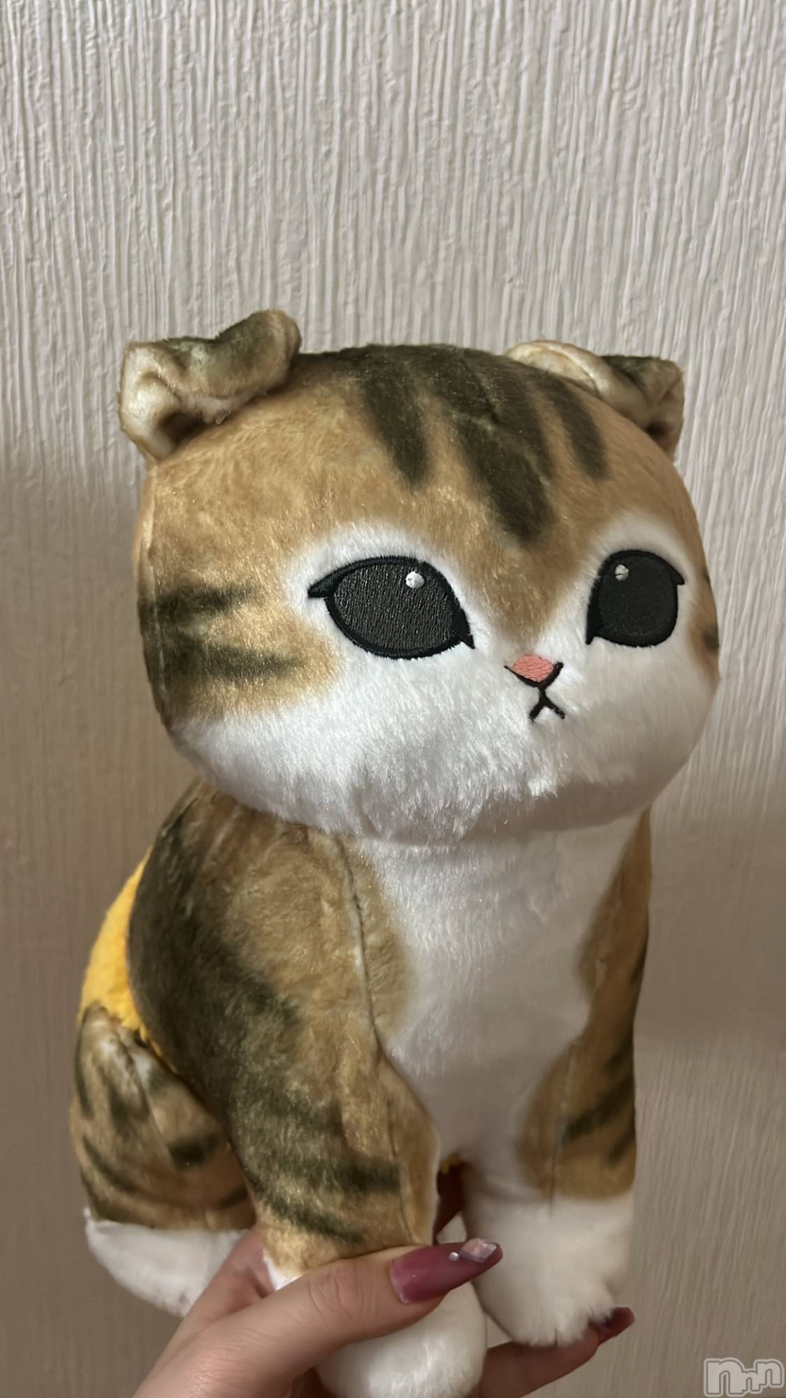 ��ë����Х��顦�����CLUB��Paladin(����֡��ѥ�ǥ���) ��2023ǯ8��25���̥�֥�����🐱🍤��