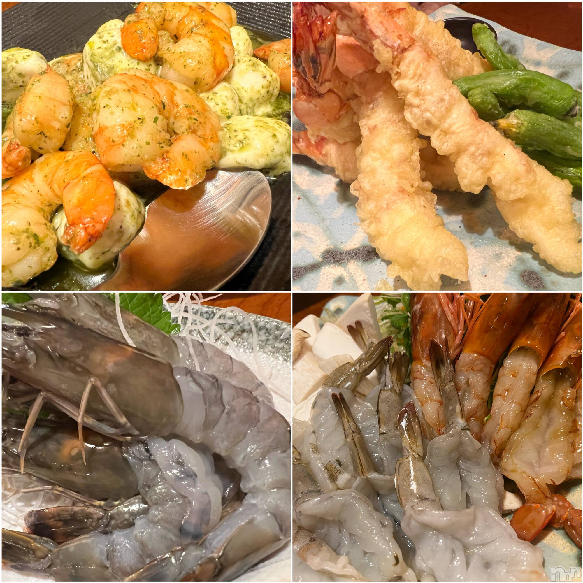 ��ë����Х��顦�����CLUB��Paladin(����֡��ѥ�ǥ���) ��2023ǯ9��1���̥�֥�����🦐❷��