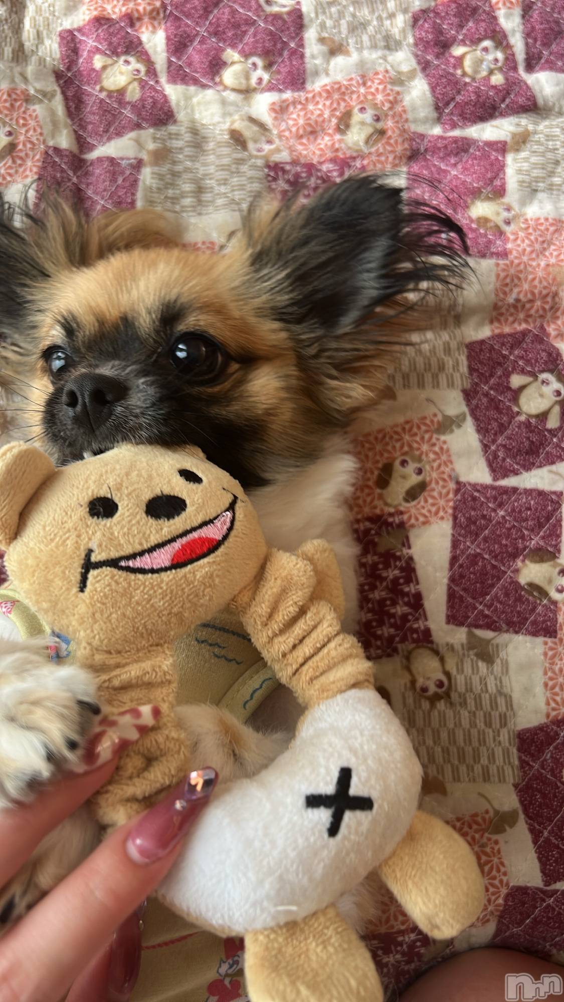 ��ë����Х��顦�����CLUB��Paladin(����֡��ѥ�ǥ���) ��2023ǯ9��15���̥�֥�����🐶🐾��