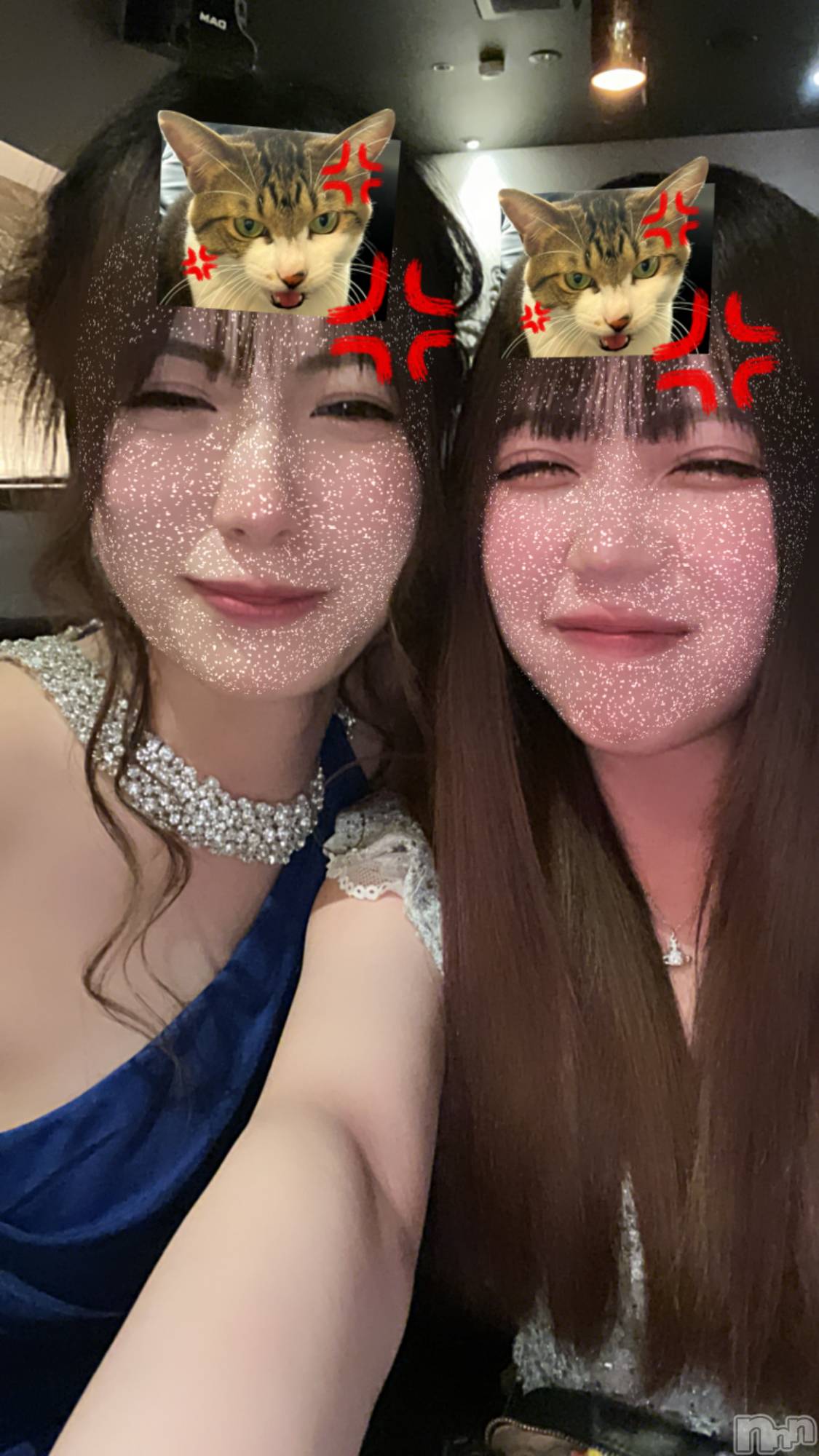 ��ë����Х��顦�����CLUB��Paladin(����֡��ѥ�ǥ���) ��2024ǯ3��13���̥�֥�����🐱💢��