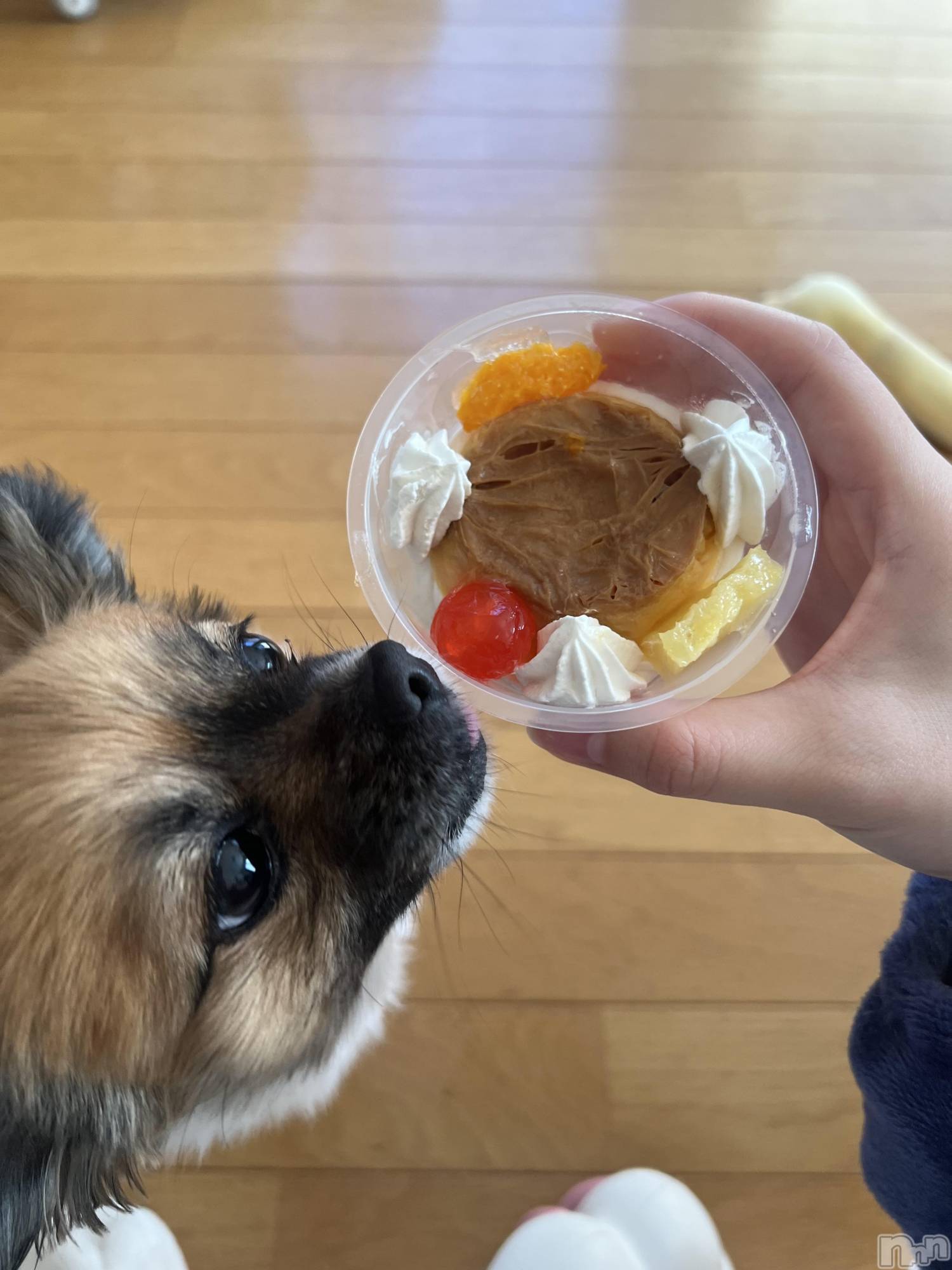 ��ë����Х��顦�����CLUB��Paladin(����֡��ѥ�ǥ���) ��2024ǯ3��30���̥�֥�����🍮��