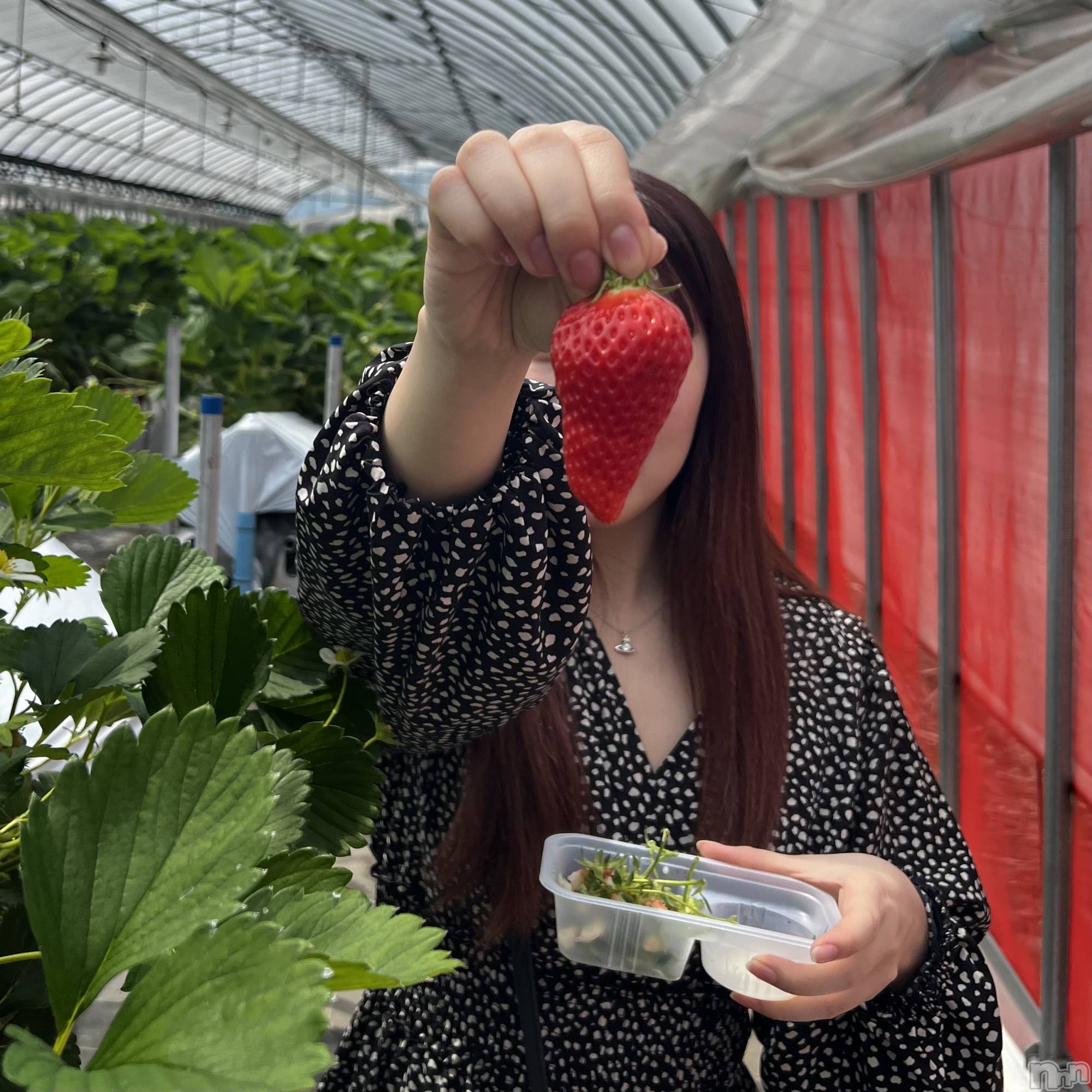 ��ë����Х��顦�����CLUB��Paladin(����֡��ѥ�ǥ���) ��2024ǯ5��2���̥�֥�����🍓��