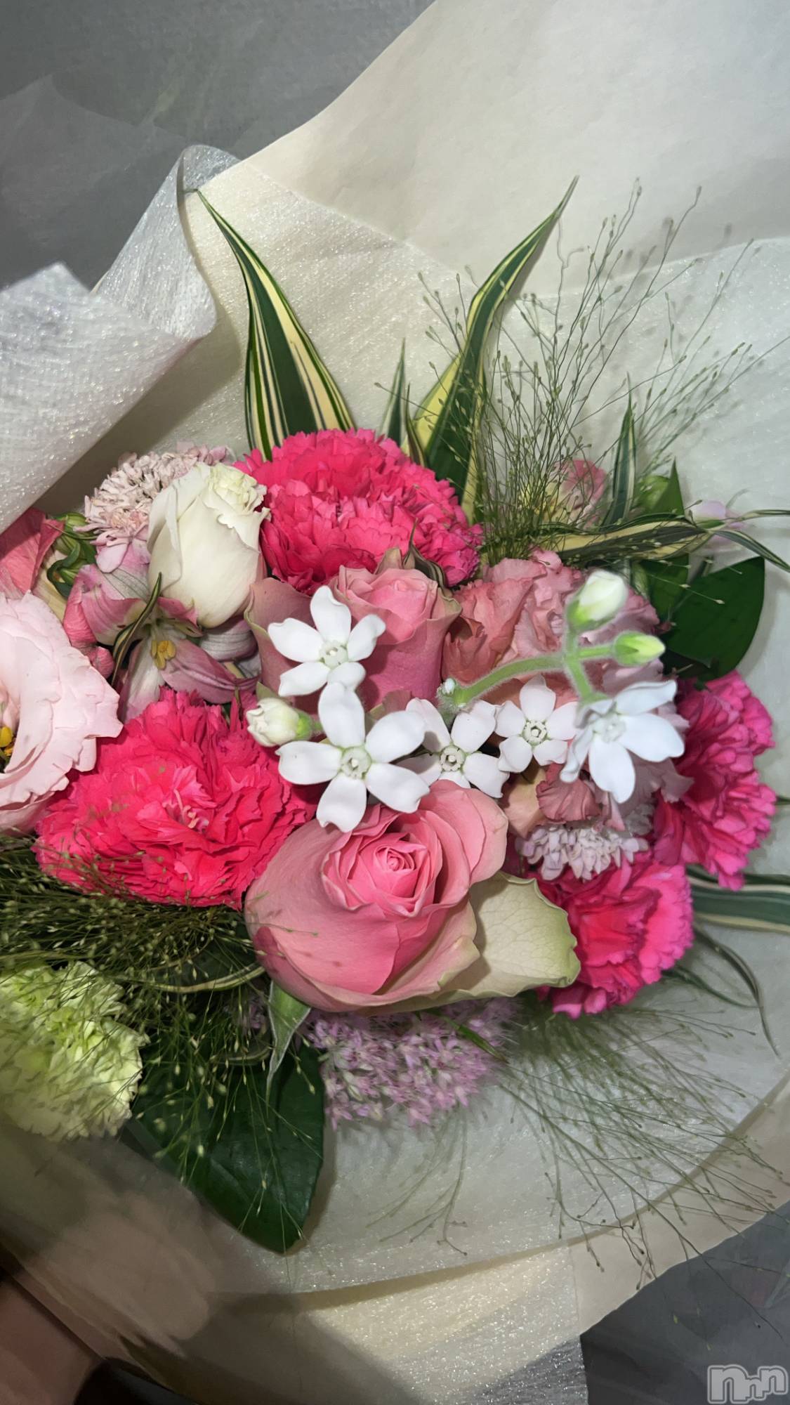 ��ë����Х��顦�����CLUB��Paladin(����֡��ѥ�ǥ���) ��2024ǯ9��11���̥�֥�����💐��