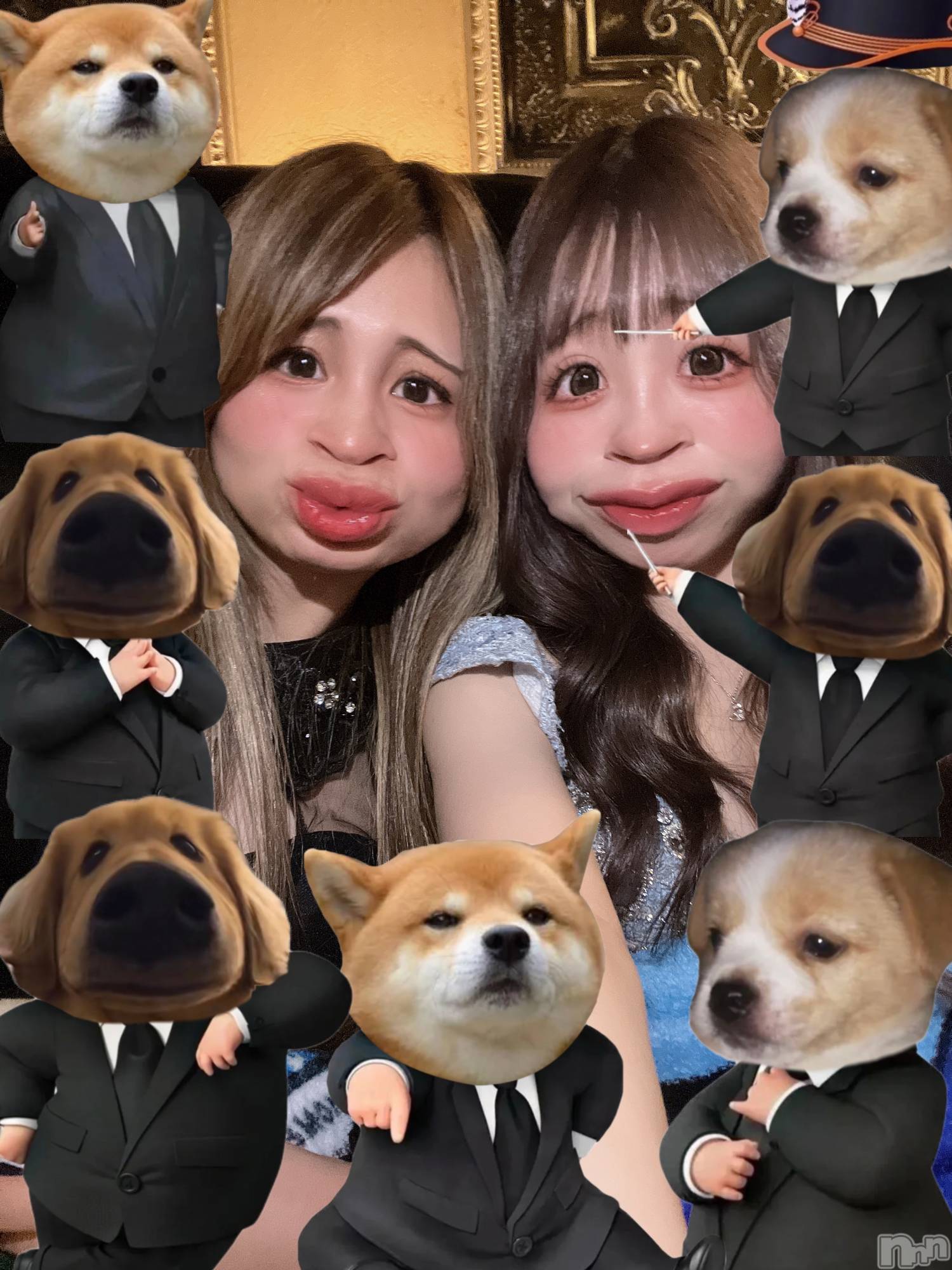 ��ë����Х��顦�����CLUB��Paladin(����֡��ѥ�ǥ���) ��2024ǯ11��2���̥�֥����֎Ŏ��֎�( *��� ꒳���*)(*���꒳ ���* )���֎���