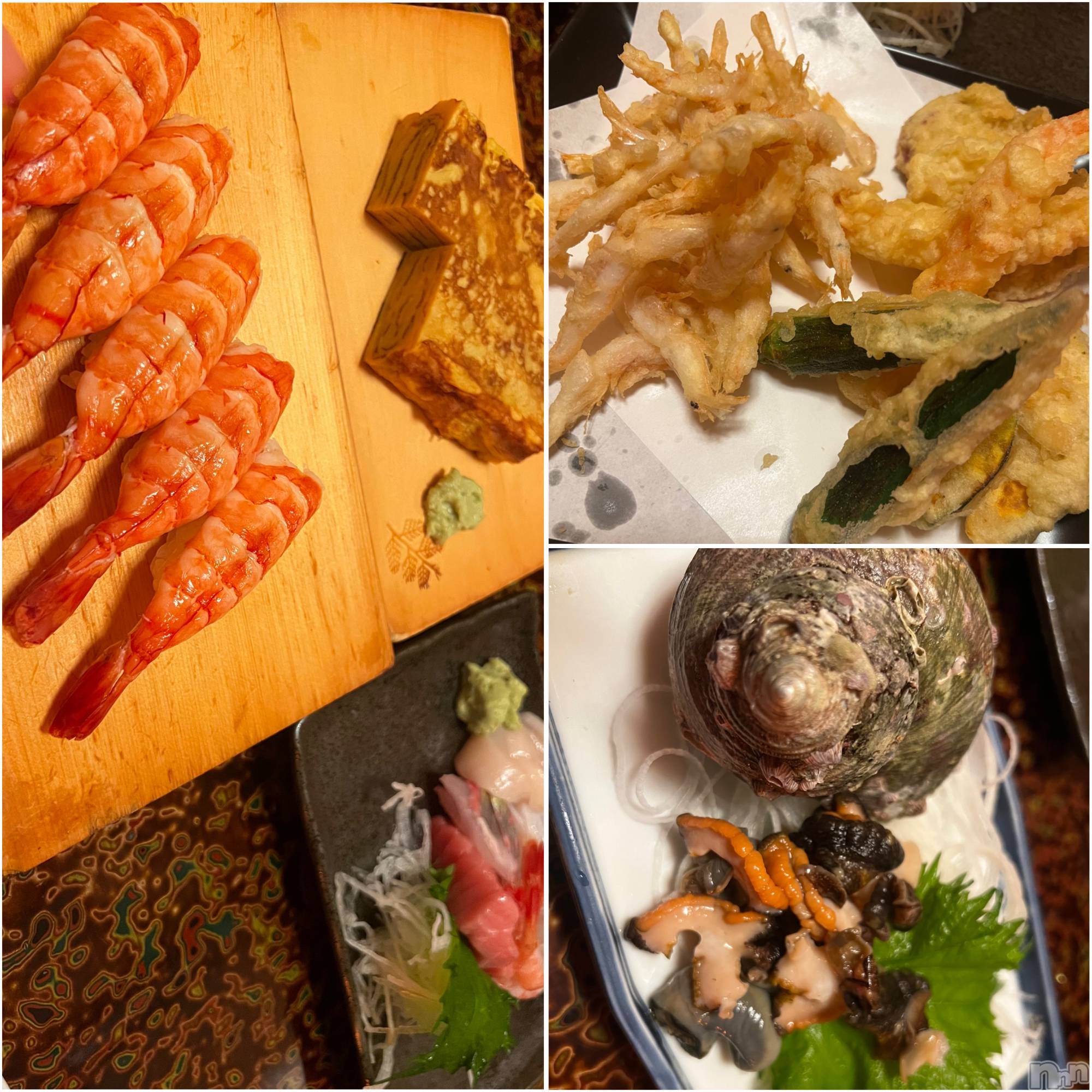 ��ë����Х��顦�����CLUB��Paladin(����֡��ѥ�ǥ���) ��2025ǯ3��13���̥�֥����֏��‹�ɏ��‹��( �Ƨ�� )���‹�ɏ��‹�ɡ�