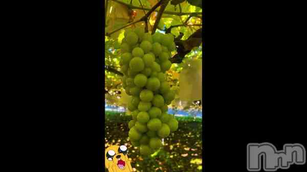 ��🍇‼️��