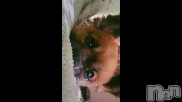 ��🐶🐾��