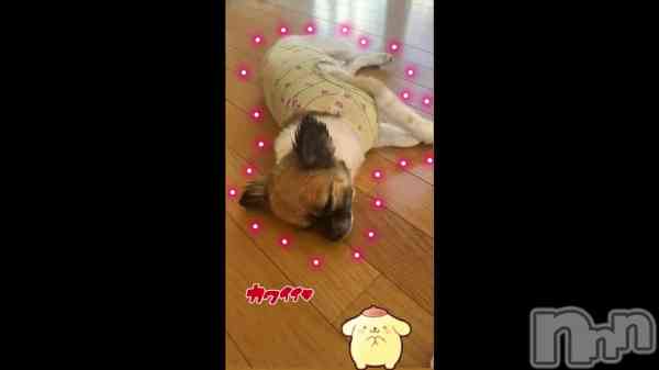 �֤Ѥ�ष���🐶🫶🏻��