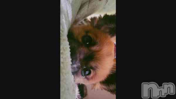 �֤郎�ȤΥ����ɥ�🐶��