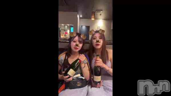 ̴��椺�ϡ�🐶🐶��