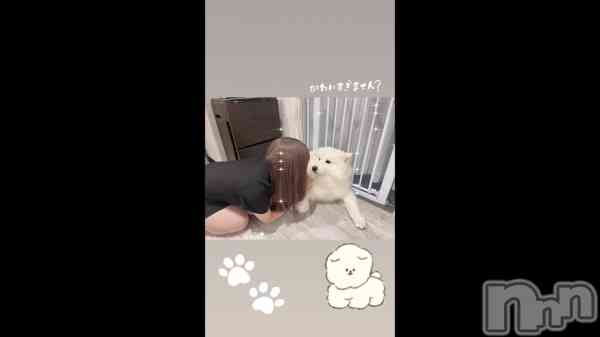 ��૮ • ·̫ • ა 🐾��