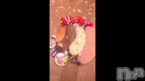 ��🦐🍤��