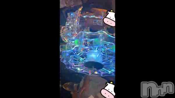 ��🚢🎡��