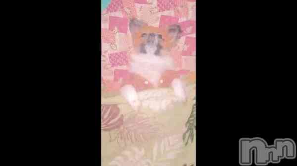 ��🐶🐾��