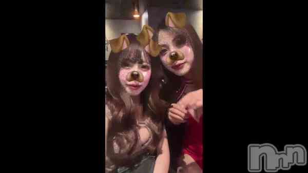 ̴��椺�ϡ�🐶🐶��