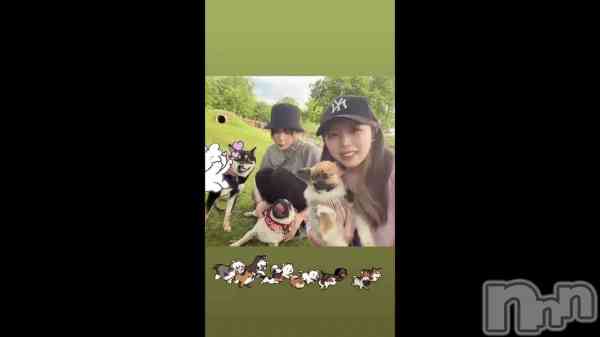 ̴��椺�ϡ�🐶🐶🐶��