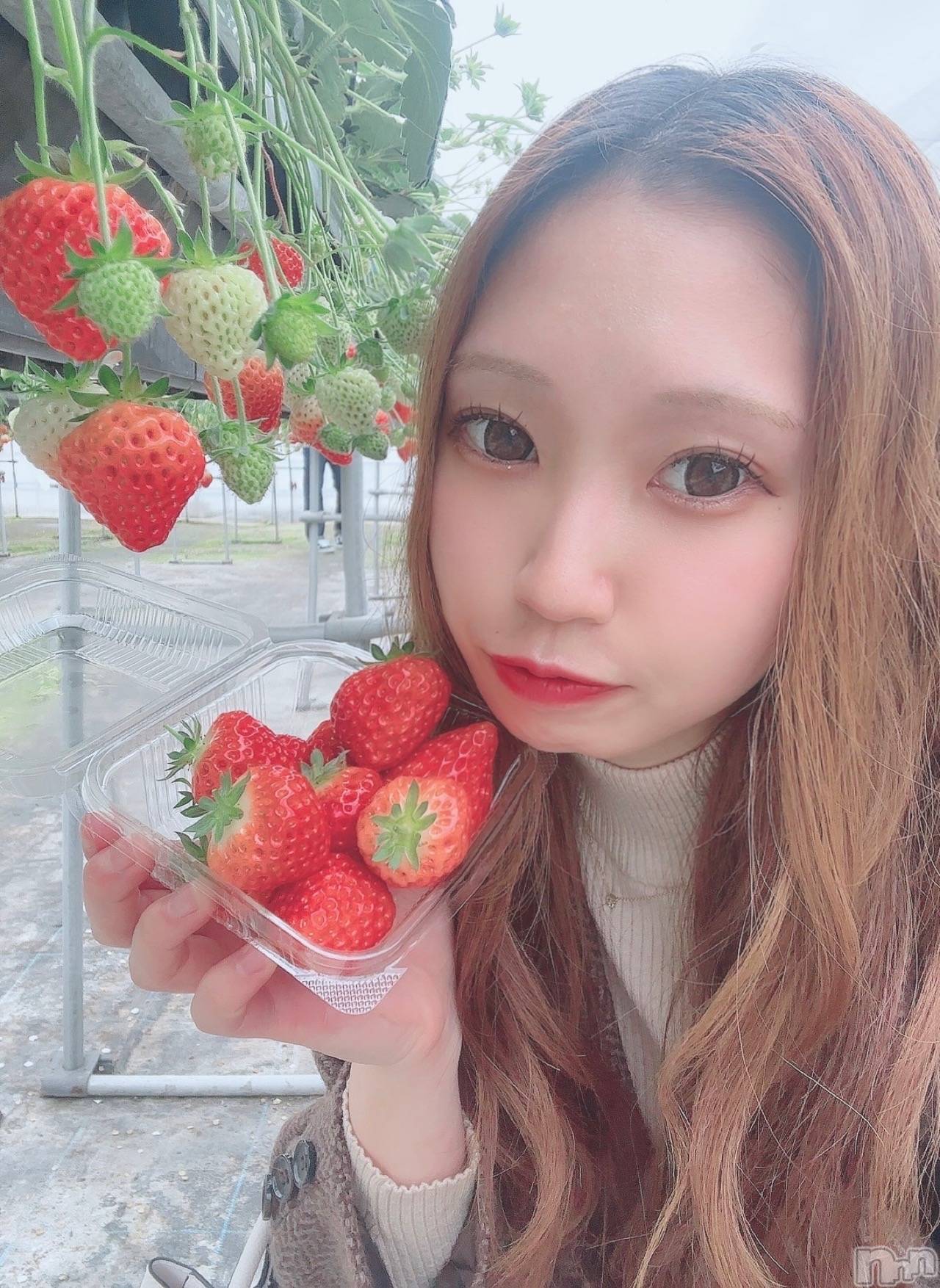 ȯĥХ顦La.DOUBLE(֥) 2025ǯ34̥֥֥å🐷