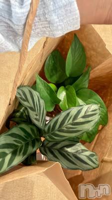 ��ȯ�ĥ���Х��顦�����double(���֥�) �⤨(25)��7��9���̥�֥������Ф��äѤ���ư🌱��